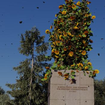 THAT’S ALL WE NEED